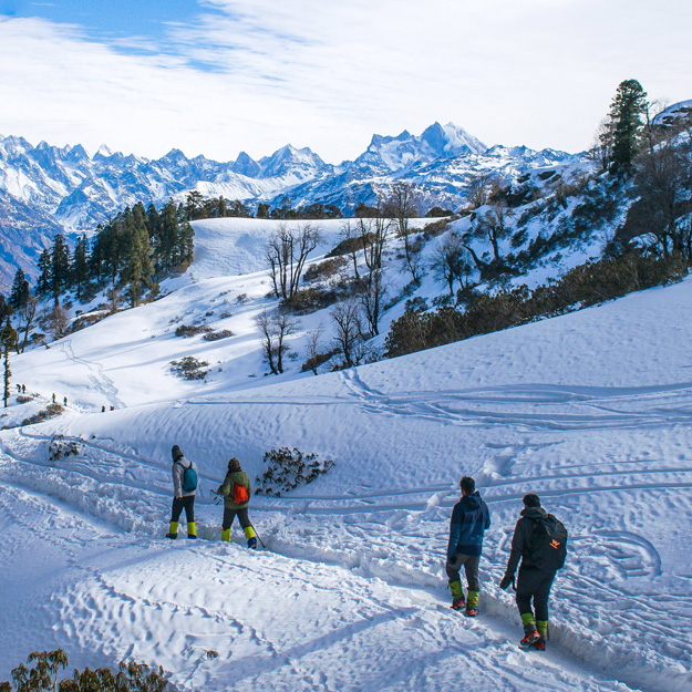 manali tour packages9